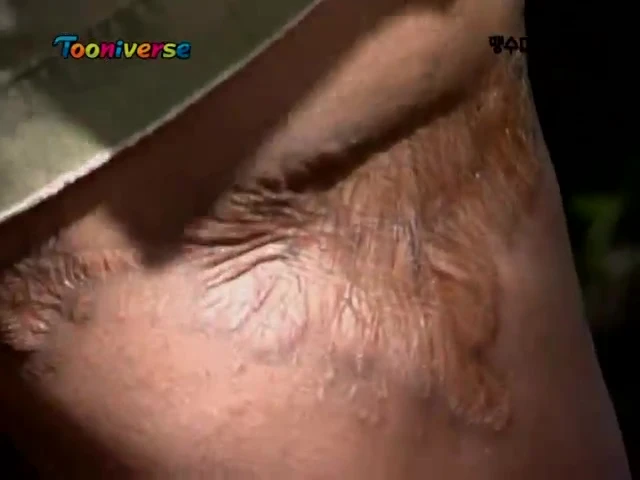 하마 치악력이 어쩌구 말로 듣는 거 보다 확실하게 느낄 수 있는 사고 사례_2.jpg