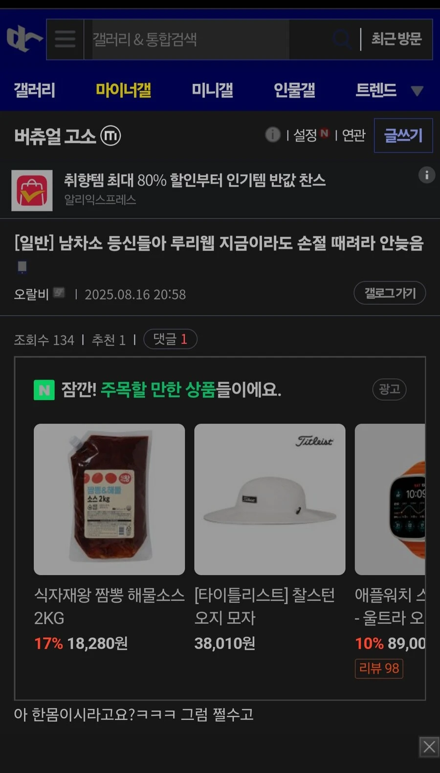 ㅇㅇㄱ)수직갤 40대일만한게