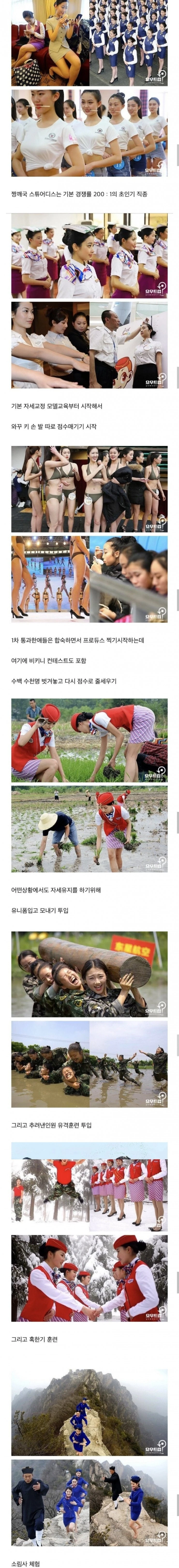 짱깨 스튜어디스 선발 과정