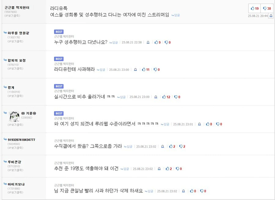 버튜버)라디유 음해사건 정리