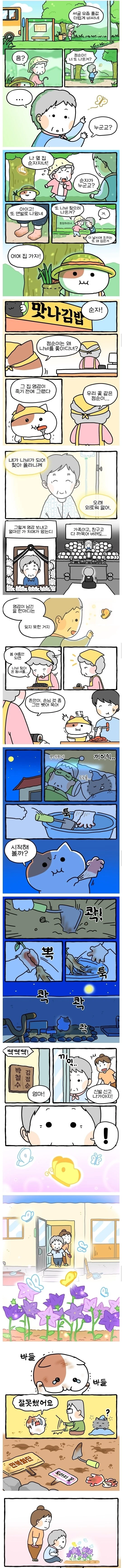 옆집 할머니가 매일 맨발로 길에 나왔던 이유.Manhwa