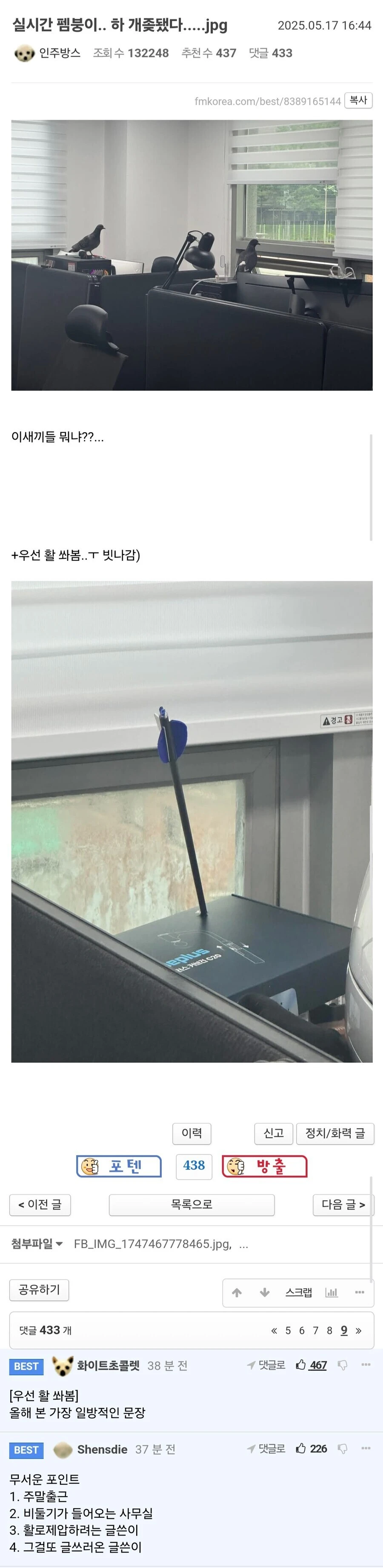 사무실에 비둘기가 들어왔다