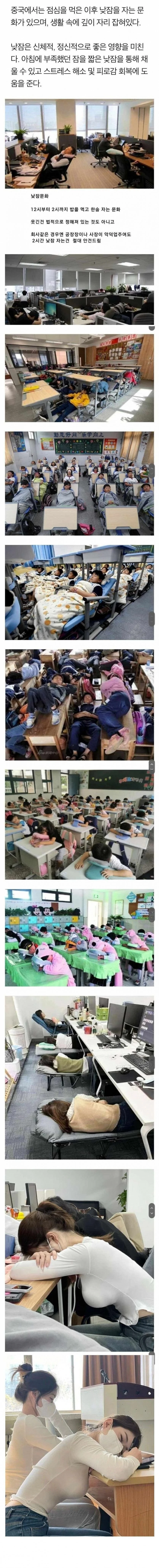 중국의 낮잠 문화