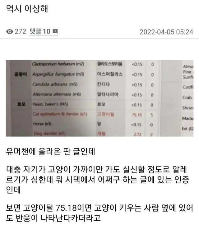 알레르기 검사 했는데 뭔가 이상하다