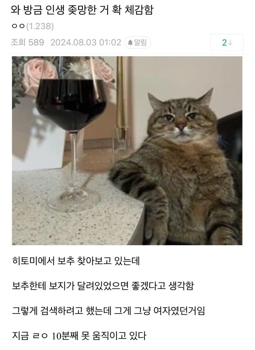 인생 ㅈ망한 거 체감하는 순간