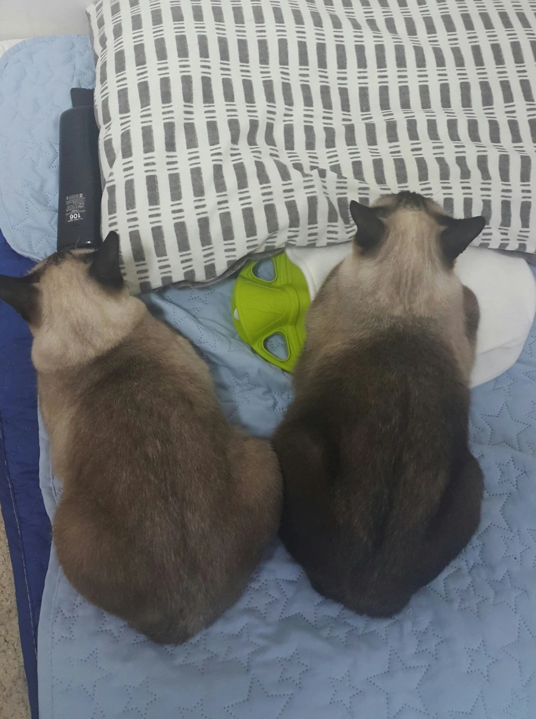 얘들아 잘 도착했니?