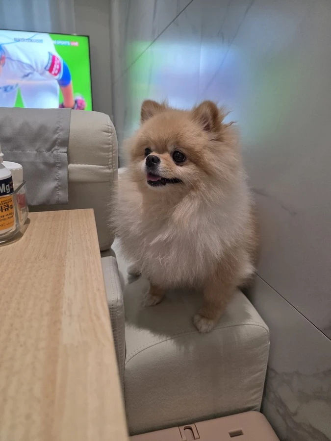 연애를 왜 하지 말라고 그러는거냐