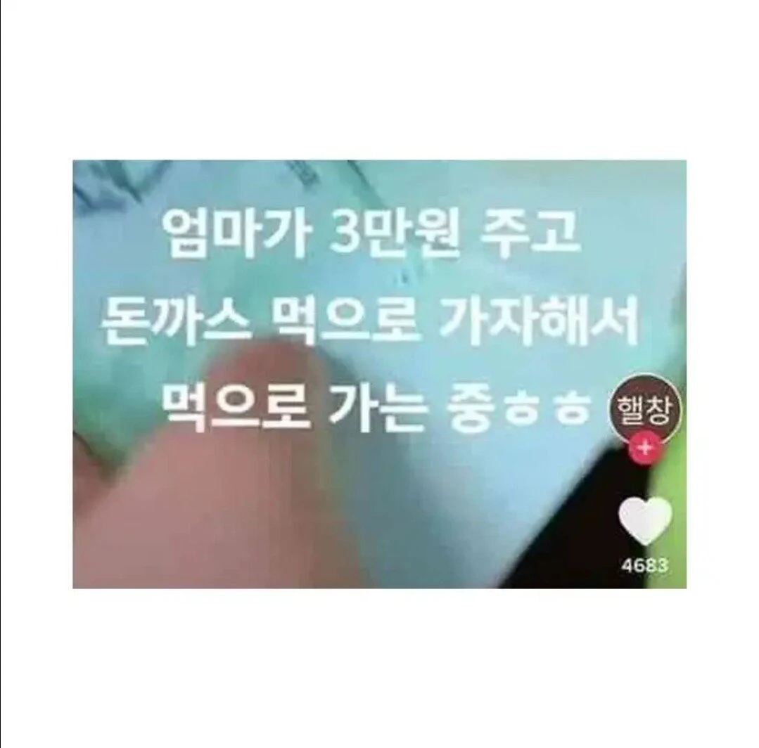 사기 당한 유튜버... 결국 휴방...