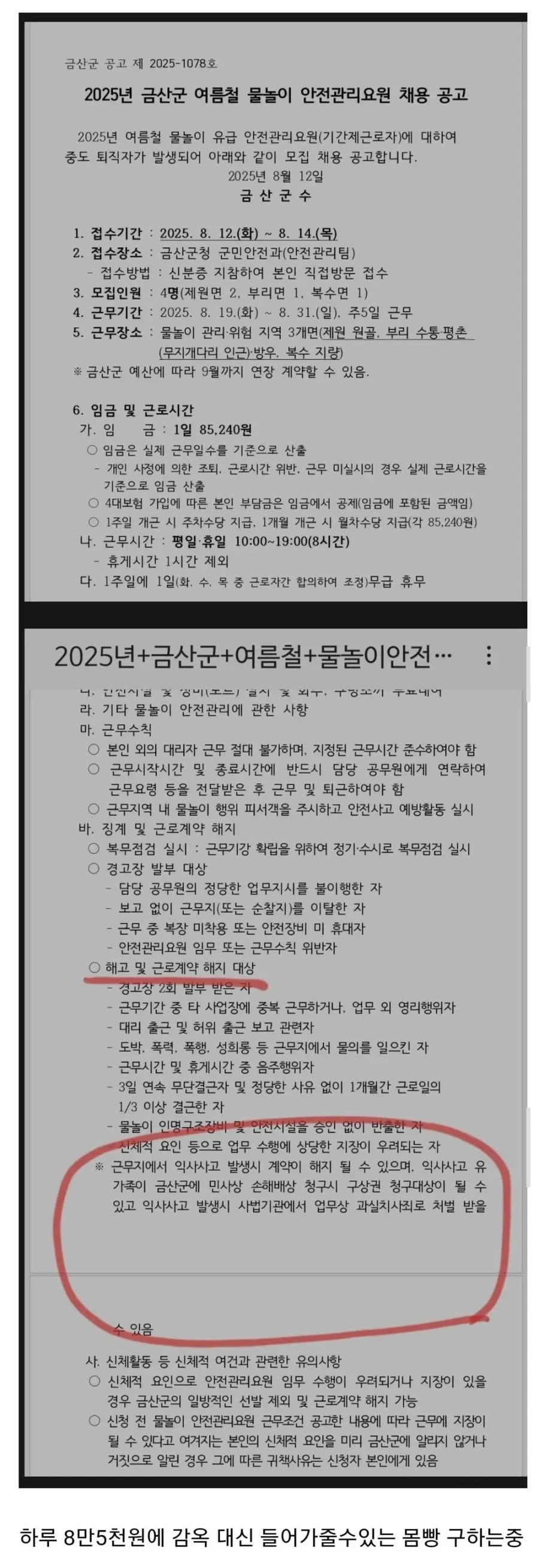 2025년 금산군 여름철 물놀이 안전관리요원 채용공고
