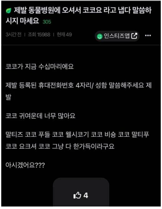 코코를 부르지 마세요.jpg