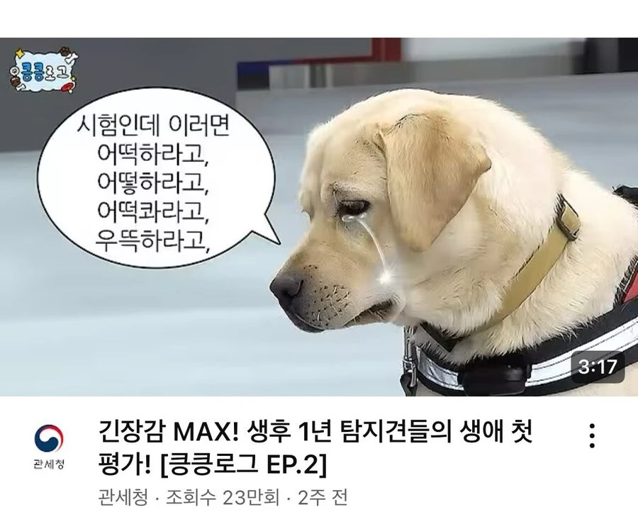 치트키를 쓰며 유튜브 살리기에 힘내는 공공기관_3.jpg