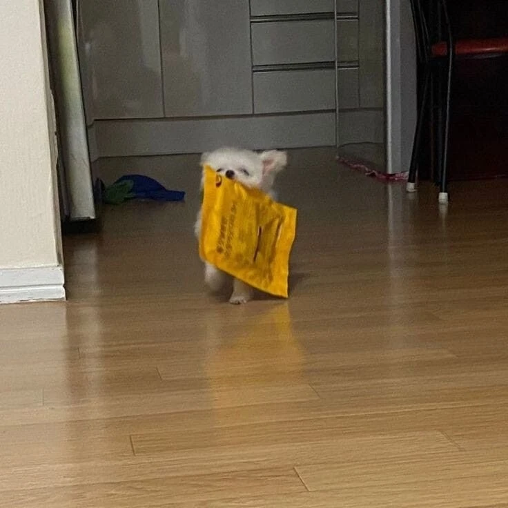 ??? : 쭈인아 이것좀 뜯어주라.JPG