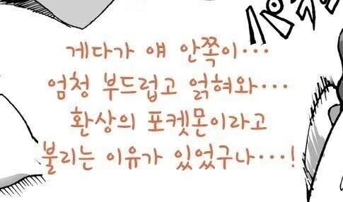 환상의 포켓몬이라 불리는 이유