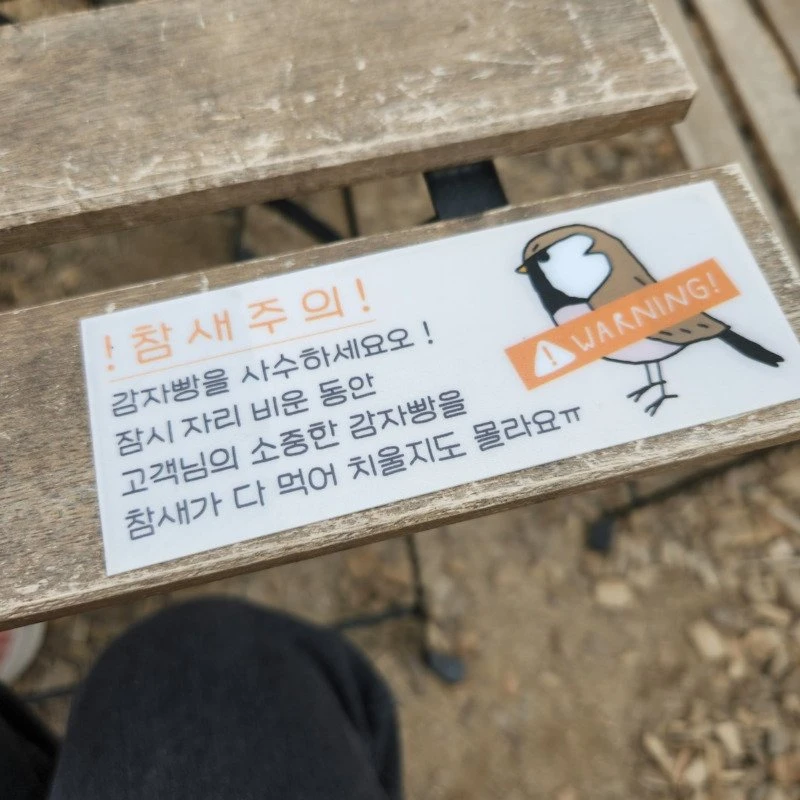 식탐쩐다는 춘천의 참새들