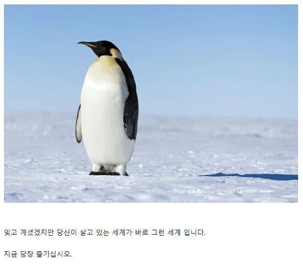 맘껏 썎쓰해도 괜찮은 세계
