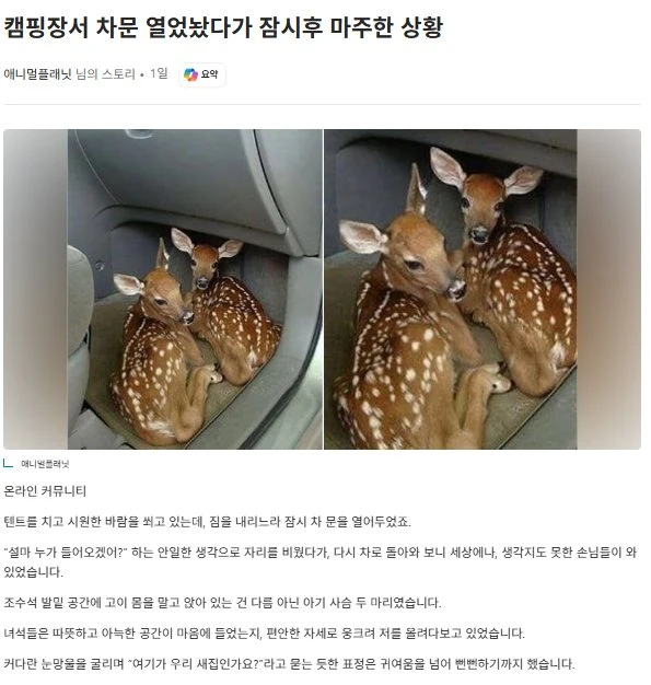 귀여운 차량 탈취범
