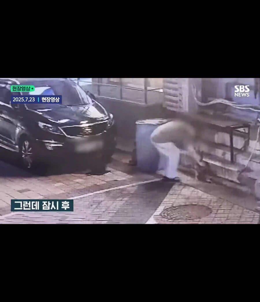 고양이가 할퀴어서 화가나 고양이를 죽인 남성_4.jpg