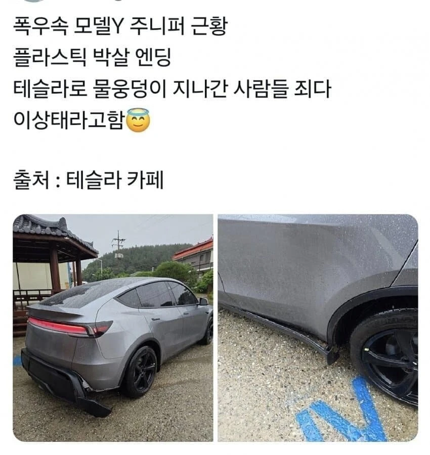 폭우 홍수 사태 한국 테슬라 오너들 근황.jpg