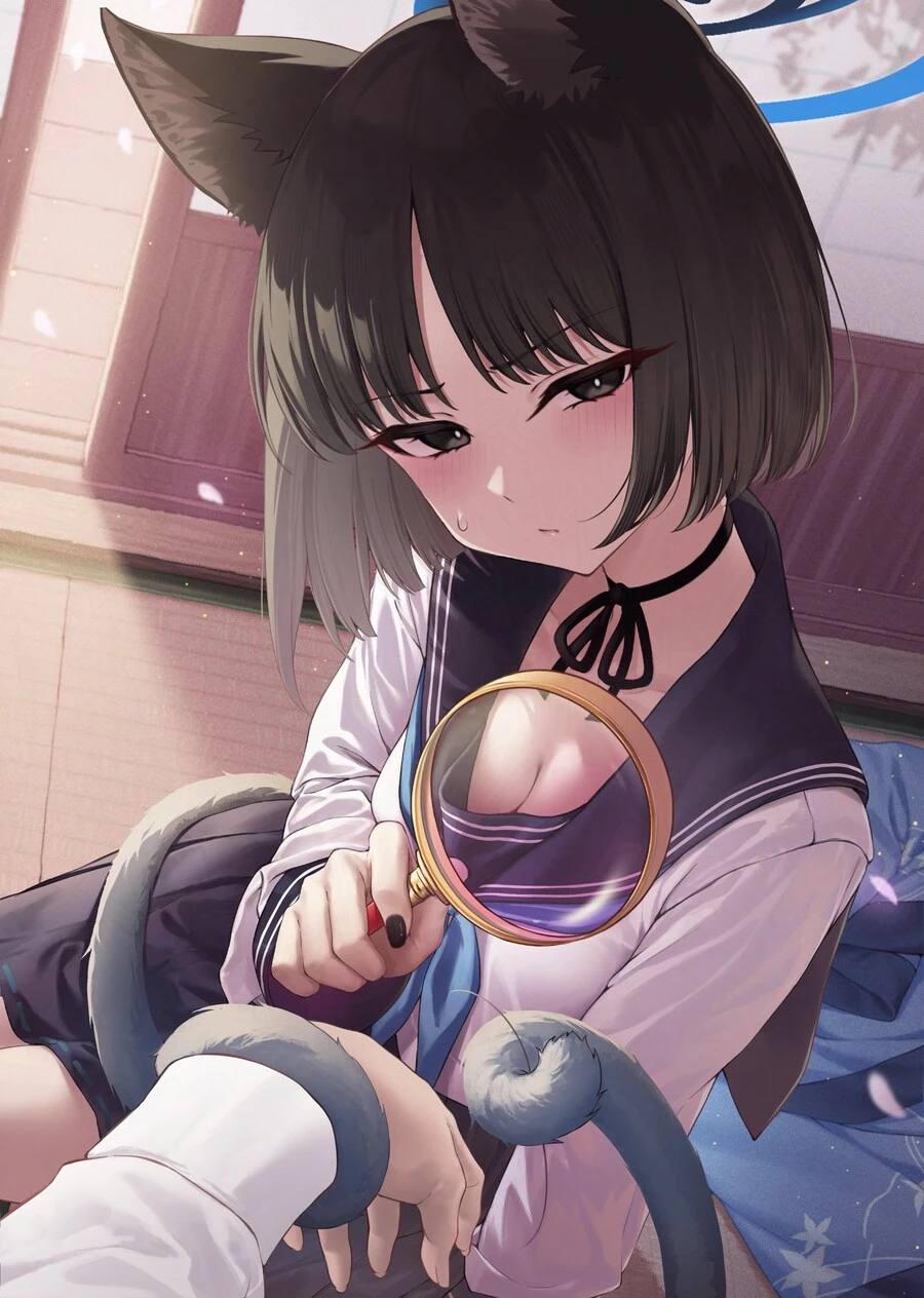 블루아카)돋보기 사용법.jpg