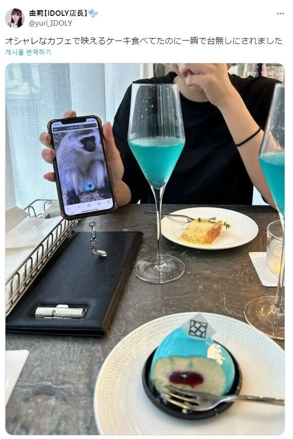 일본 고급카페에서 파는거