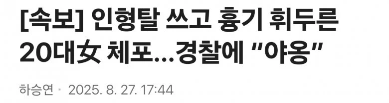 인형탈 쓰고 흉기 휘두른 20대女 체포