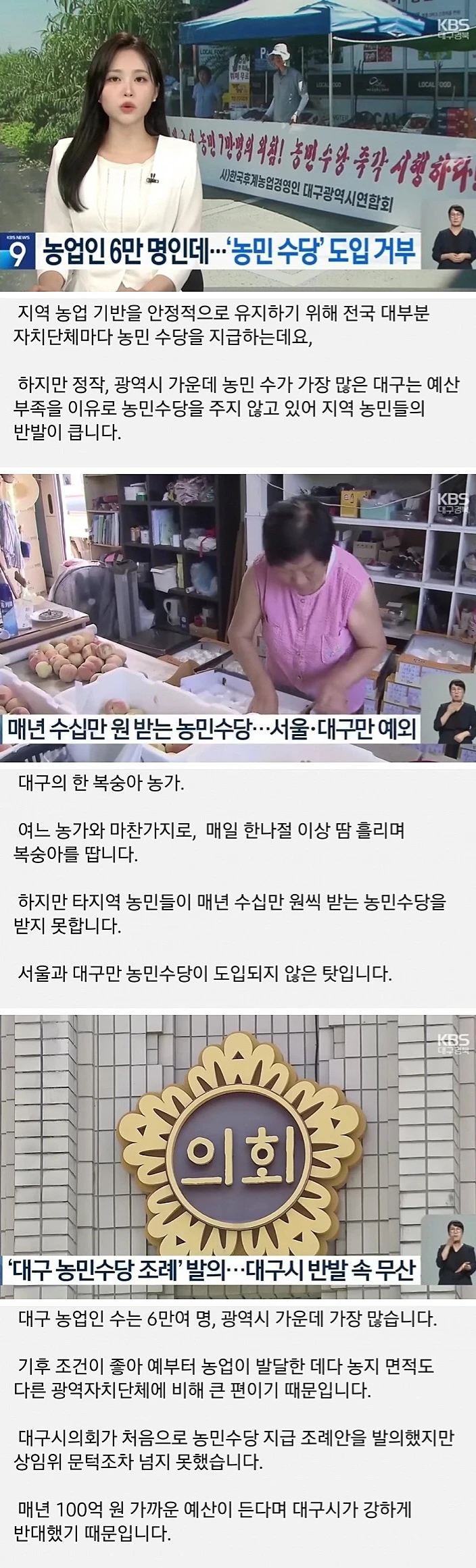 대구시 근황.jpg