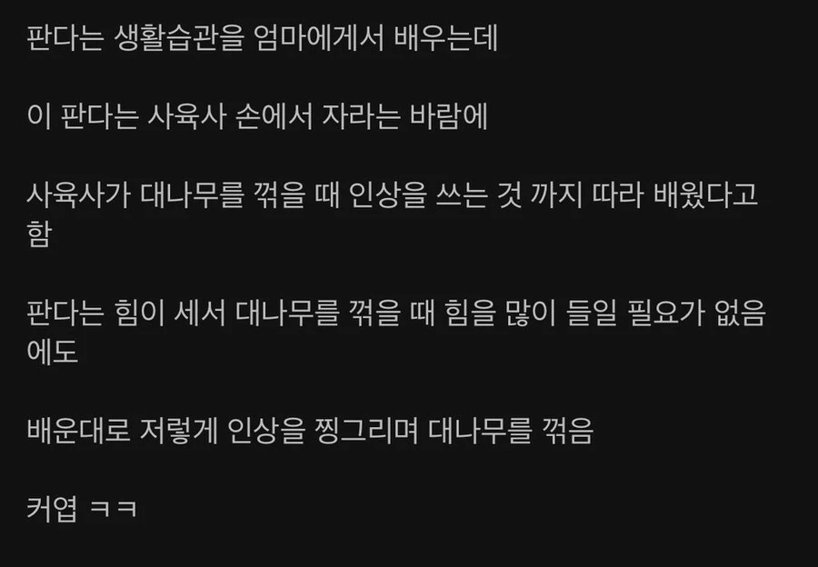 사육사 손에서 자란 판다의 버릇.gif_2.jpg