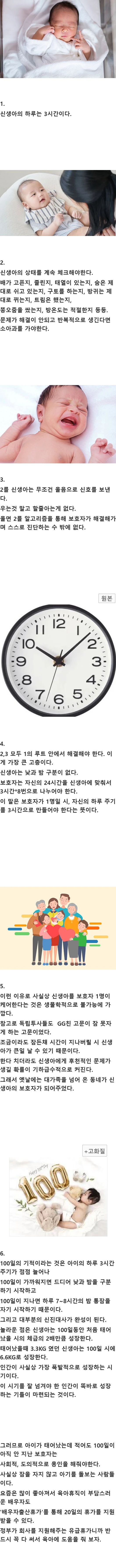 왜 신생아 육아는 100일의 기적이라고 하는지 아라보자