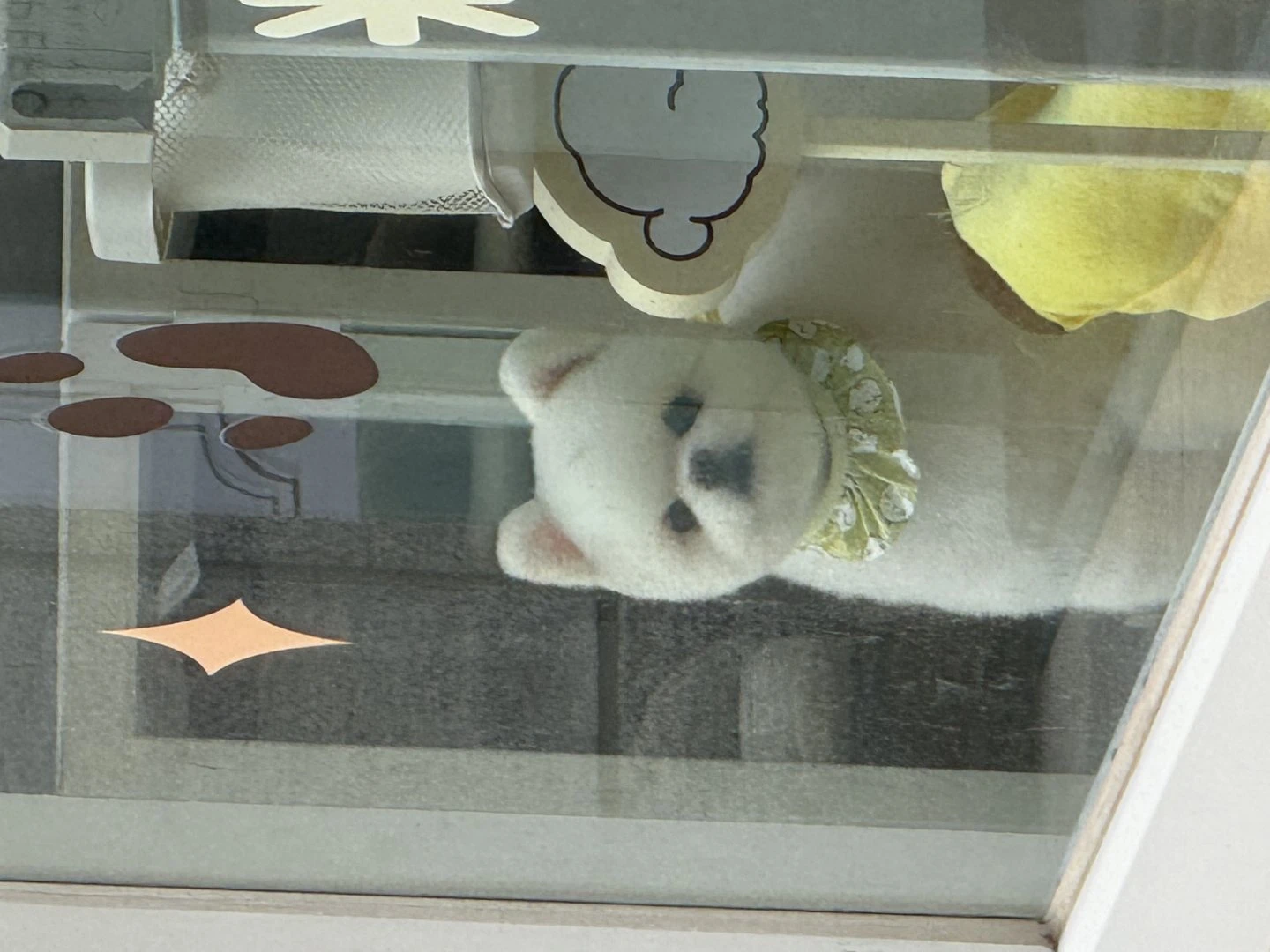 우리 댕댕이 설기보고가실분!!!