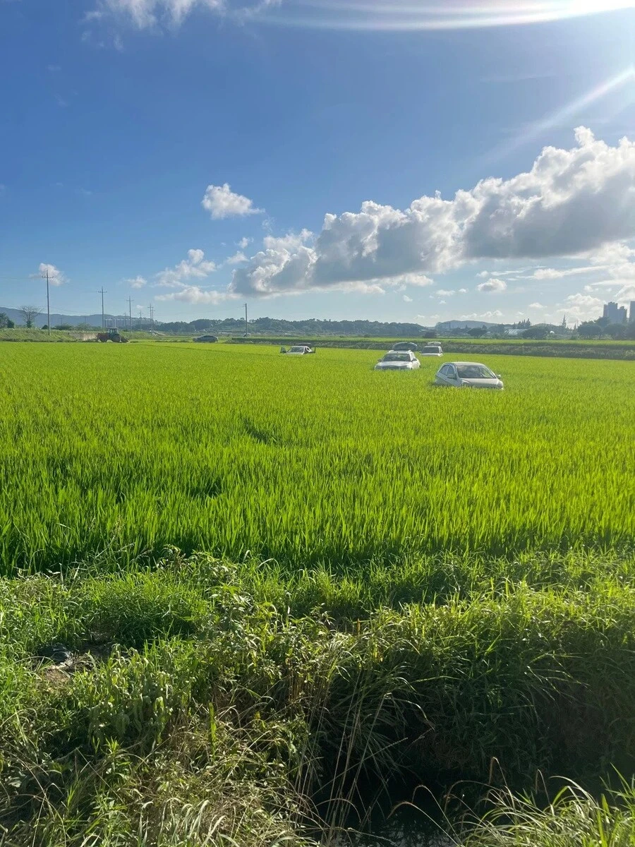 서산 근황