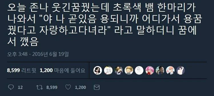 이건 용꿈이 맞나...?
