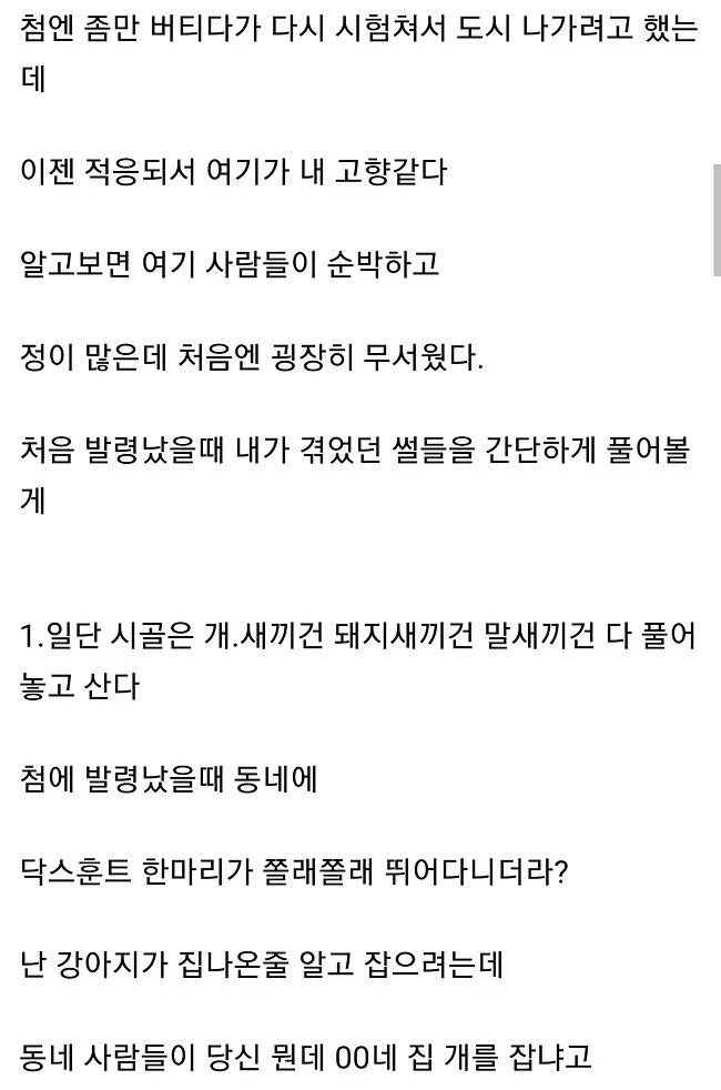 02.jpg