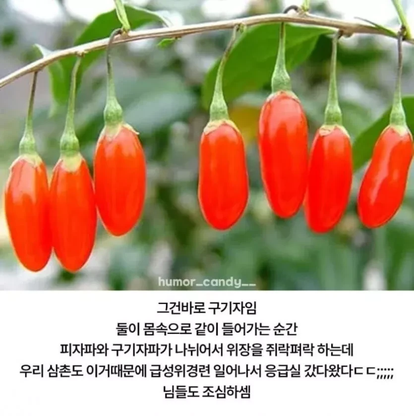 의외로 피자와 같이 먹으면 안되는 음식.jpg_2.webp