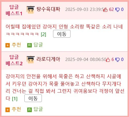아기댕댕이 달리는 소리