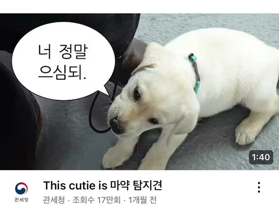 치트키를 쓰며 유튜브 살리기에 힘내는 공공기관