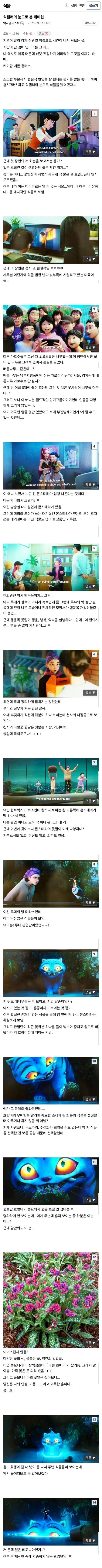 식물갤러의 눈으로 본 케데헌