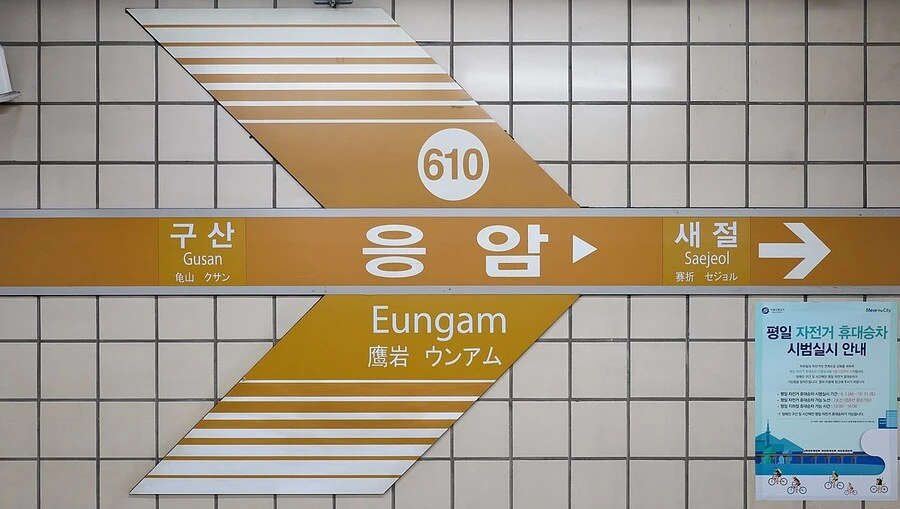 님들 그거 암?
