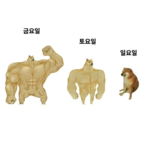 금토일의 나