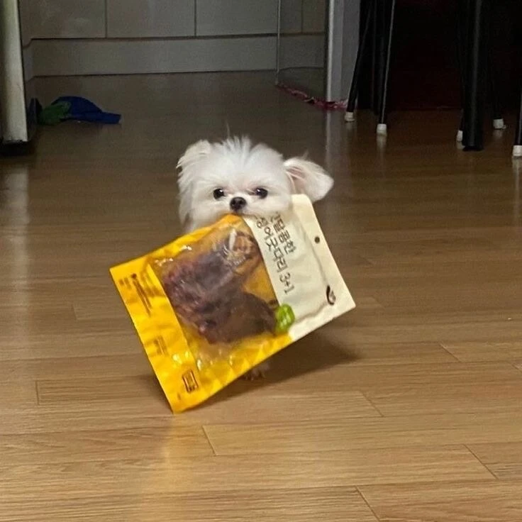 ??? : 쭈인아 이것좀 뜯어주라.JPG_2.jpg