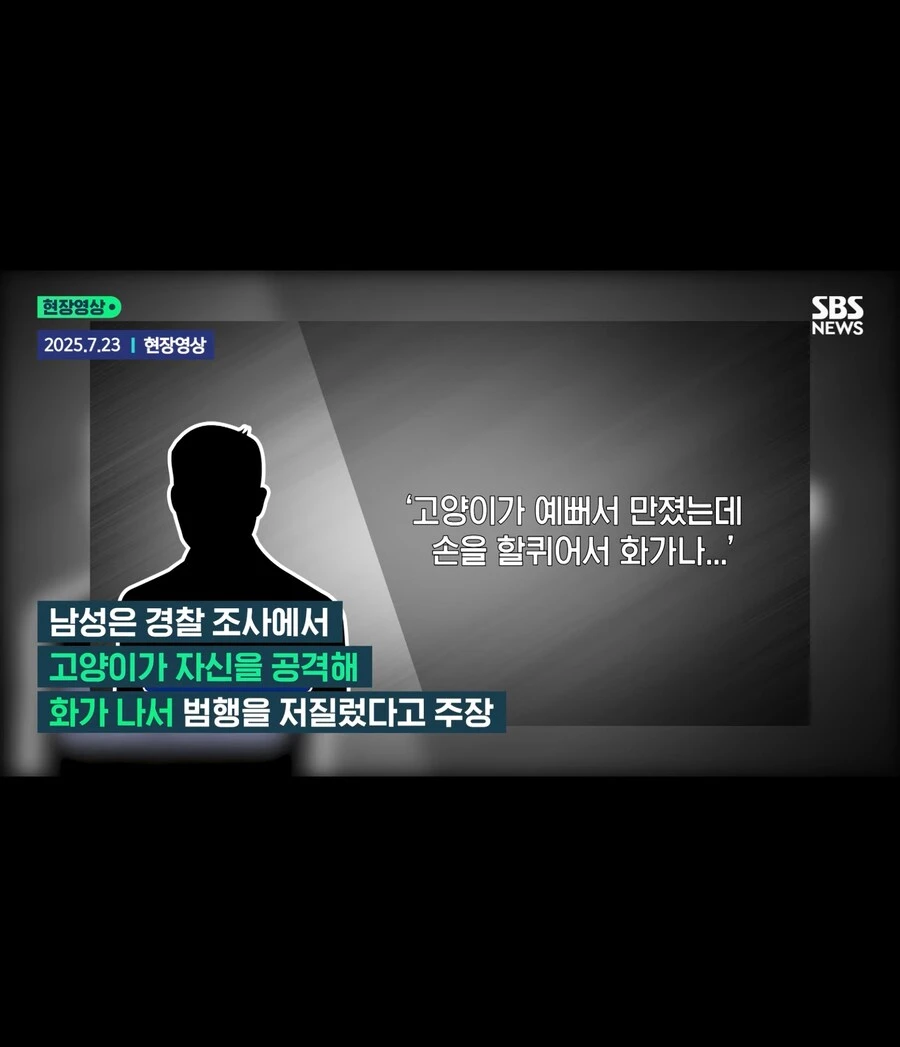 고양이가 할퀴어서 화가나 고양이를 죽인 남성_12.jpg