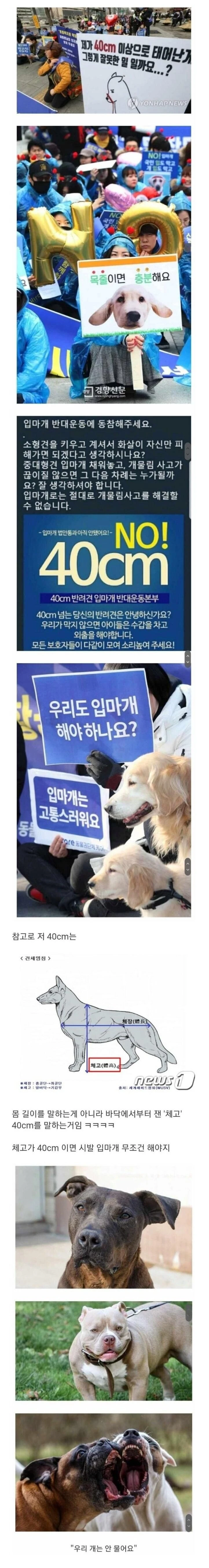 제가 40cm 이상으로 태어난게 잘못인가요?.jpg