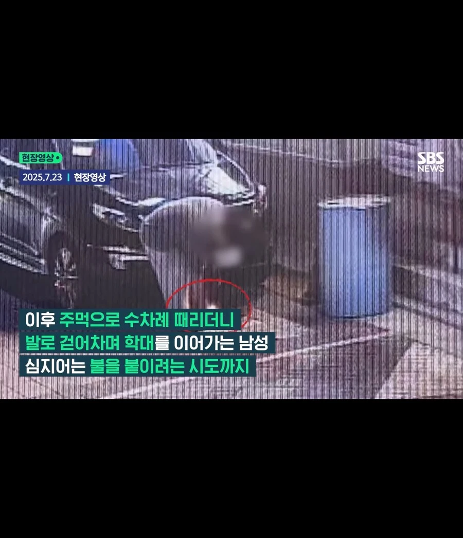 고양이가 할퀴어서 화가나 고양이를 죽인 남성_8.jpg
