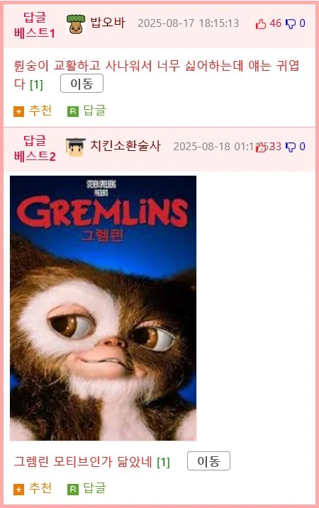 귀여운 애완용 안경원숭이.gif