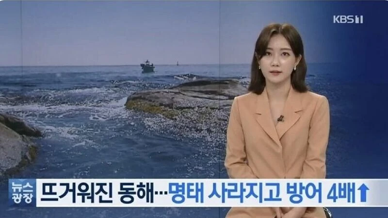 온나화 현상으로 방어력이 4배 상승한 한국