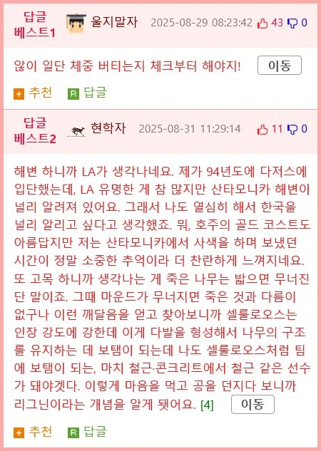 ㅇㅎ) 고목이 위험한 이유.mp4