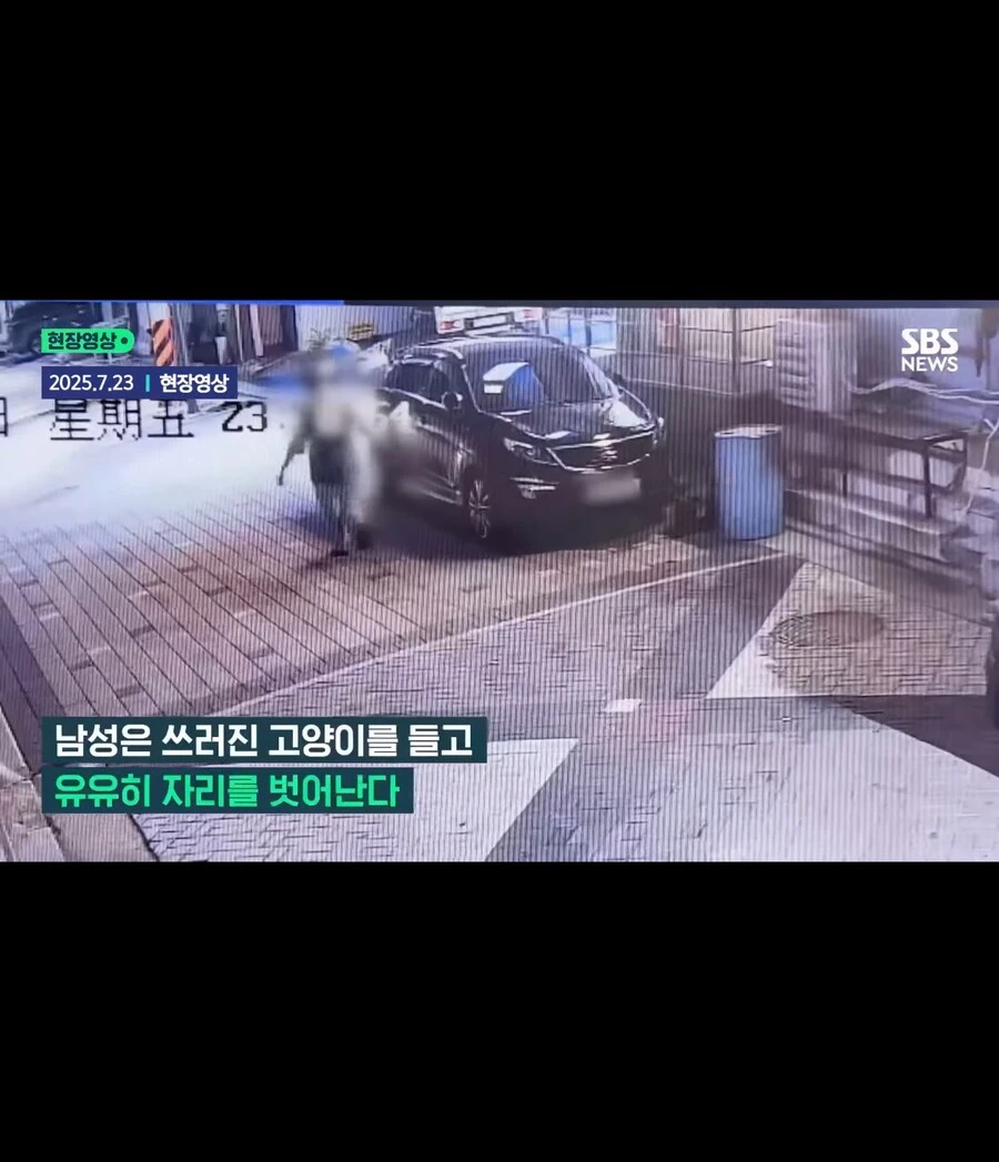 고양이가 할퀴어서 화가나 고양이를 죽인 남성_9.jpg