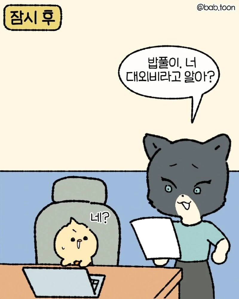 07.jpg