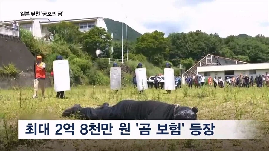 일본 곰 보험 상품 등장_8.jpg
