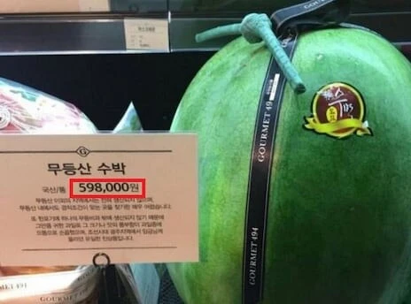 의외로 겁나 비싼 과일