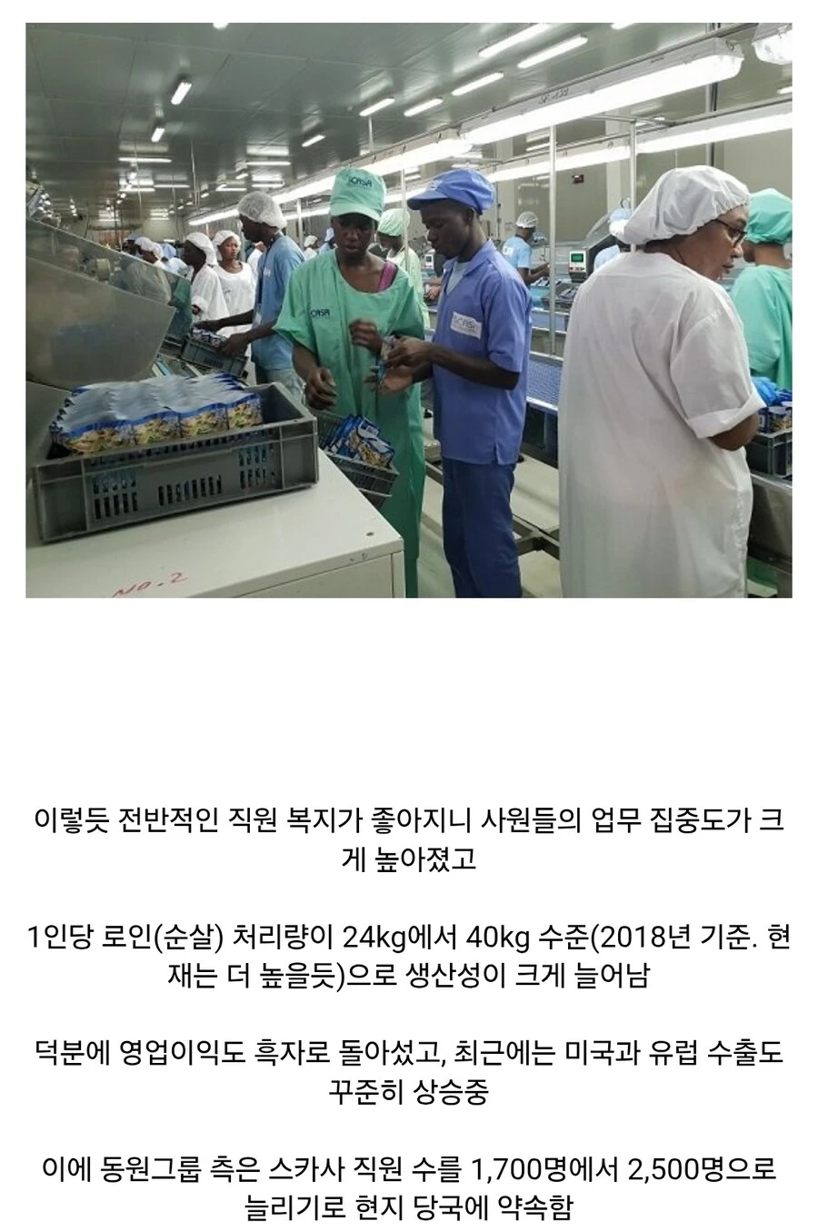 아프리카 세네갈의 국민 기업이 된 한국 기업.jpg_6.jpg